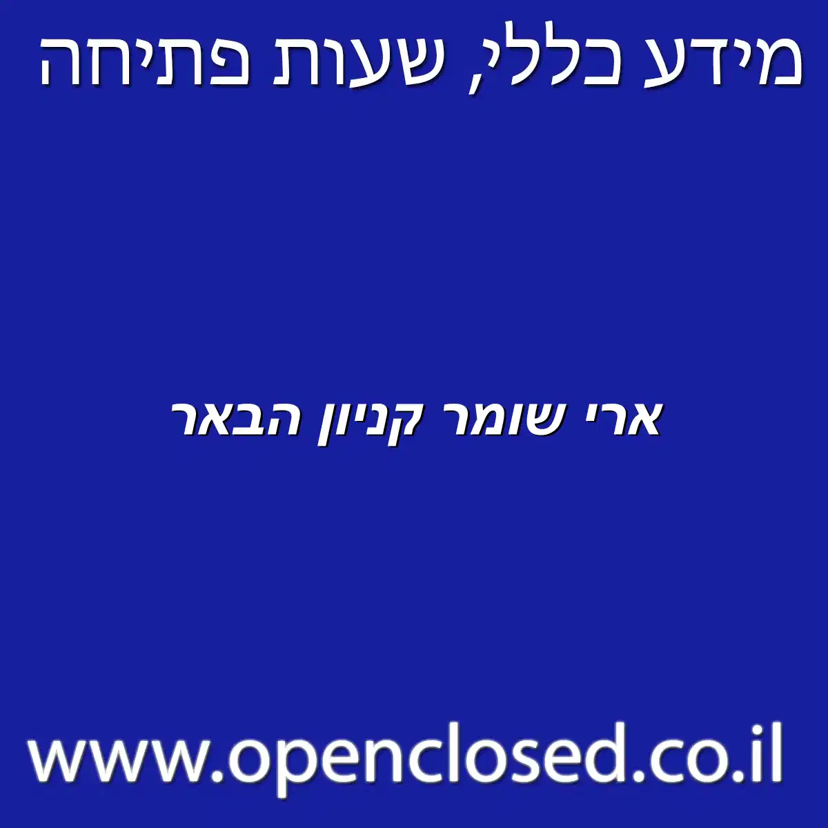 ארי שומר קניון הבאר