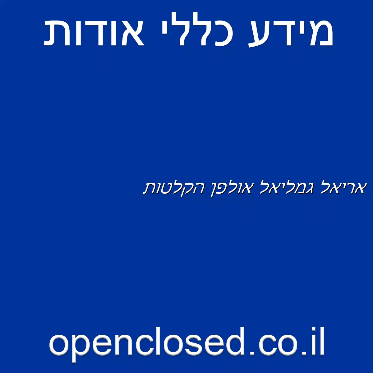 אריאל גמליאל אולפן הקלטות