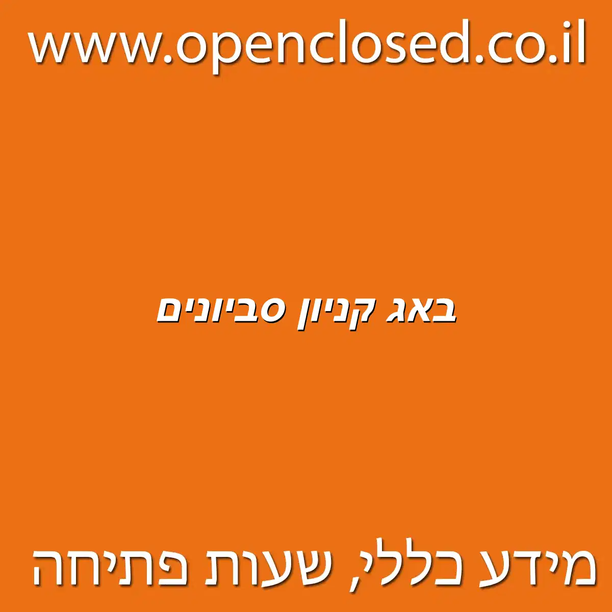 באג קניון סביונים