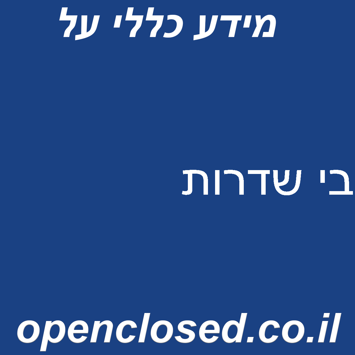 בי שדרות
