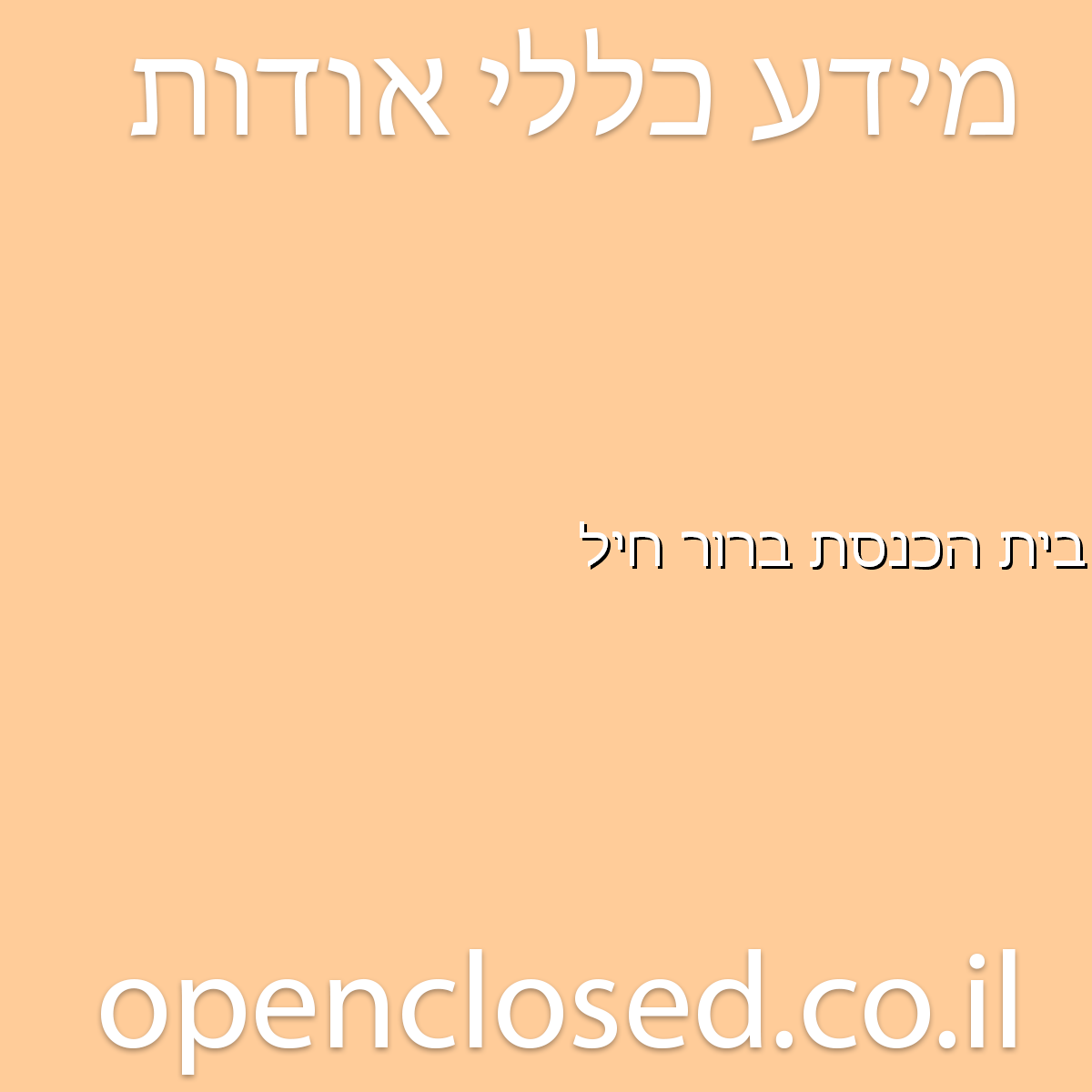 בית הכנסת ברור חיל