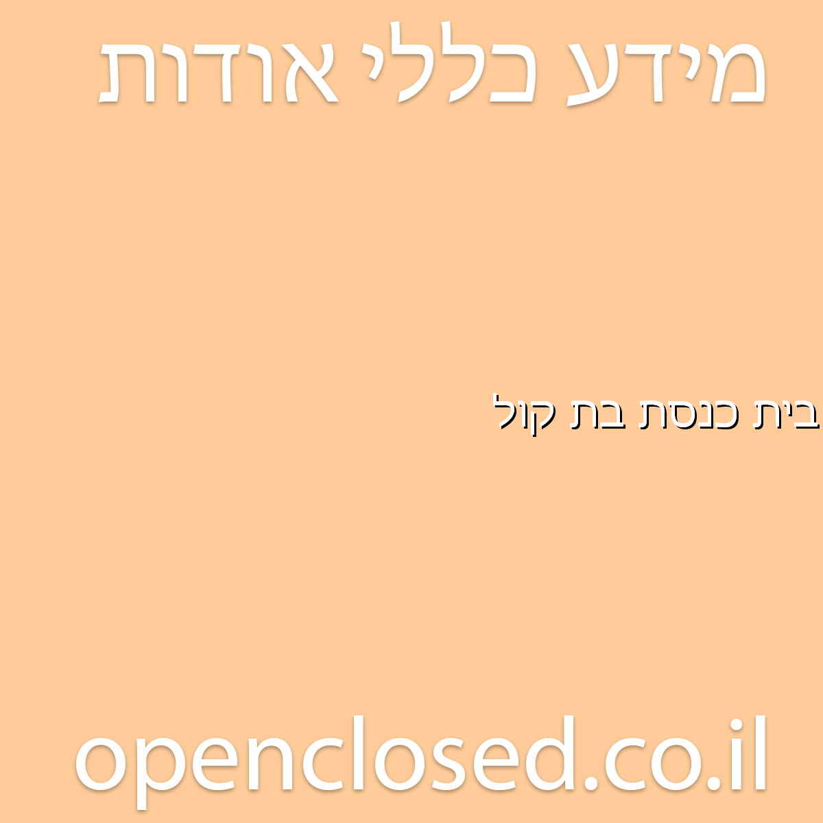 בית כנסת בת קול