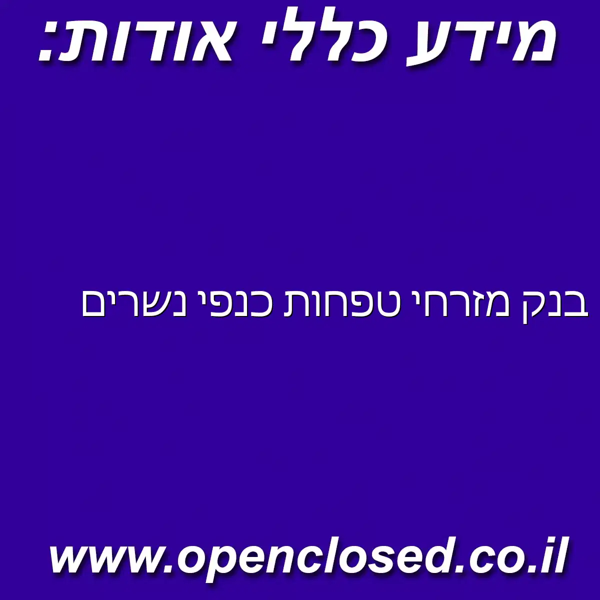 בנק מזרחי טפחות כנפי נשרים