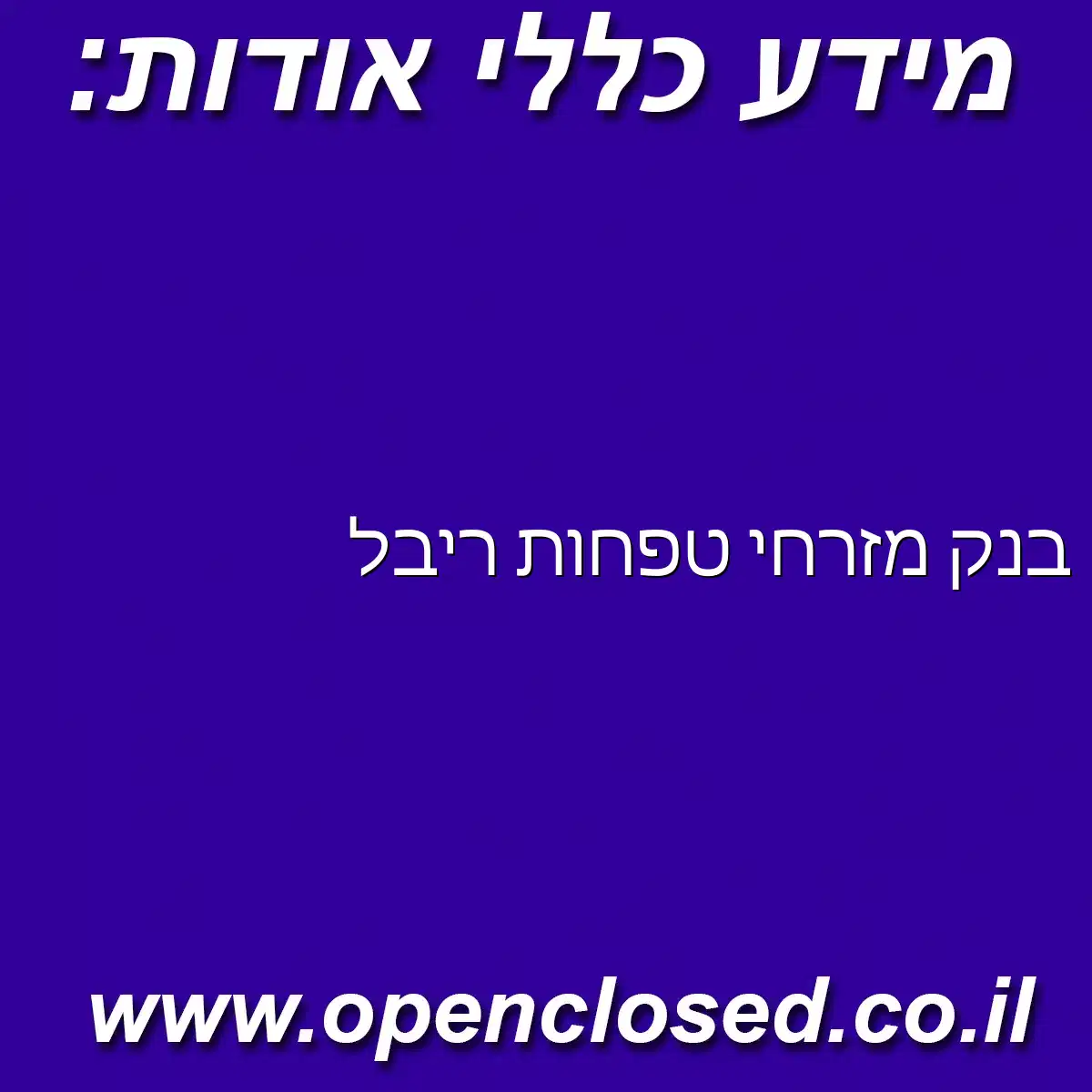 בנק מזרחי טפחות ריבל