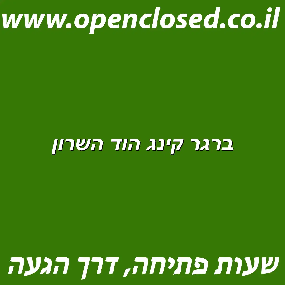 ברגר קינג הוד השרון