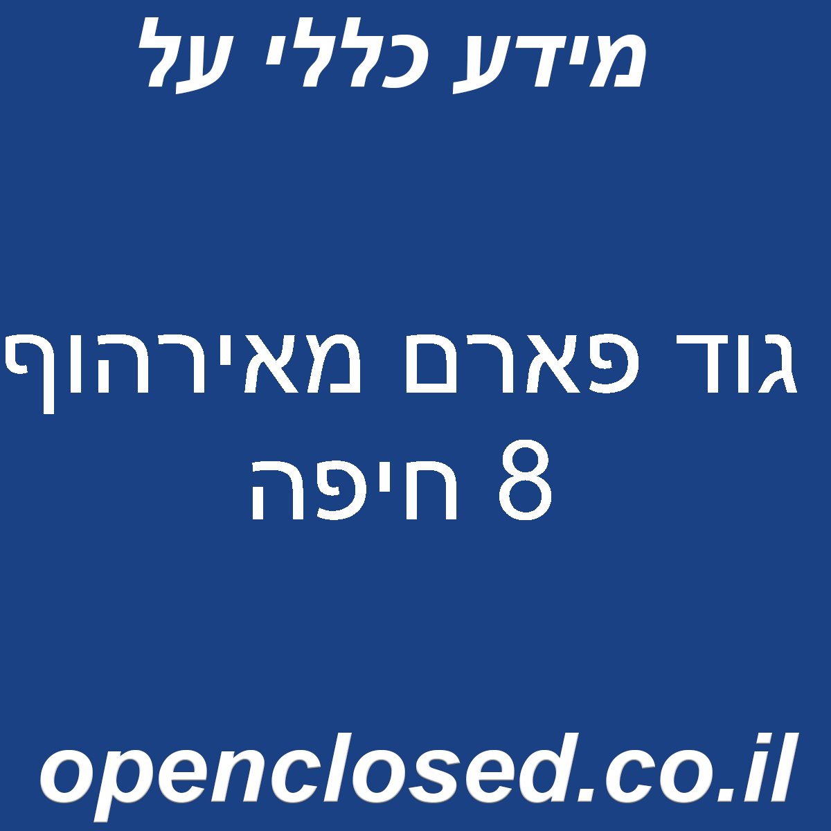 גוד פארם מאירהוף 8 חיפה