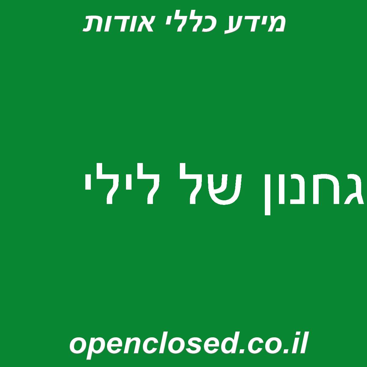 גחנון של לילי