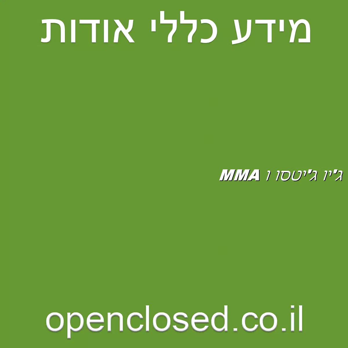 ג’יו ג’יטסו ו MMA