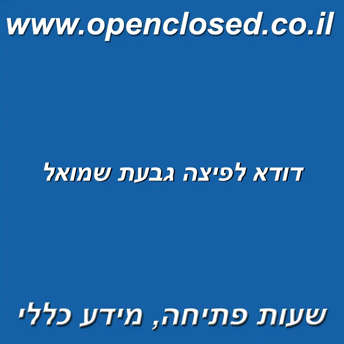 דודא לפיצה גבעת שמואל
