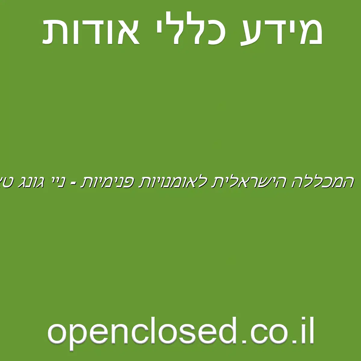 המכללה הישראלית לאומנויות פנימיות – ניי גונג טאי צ’י