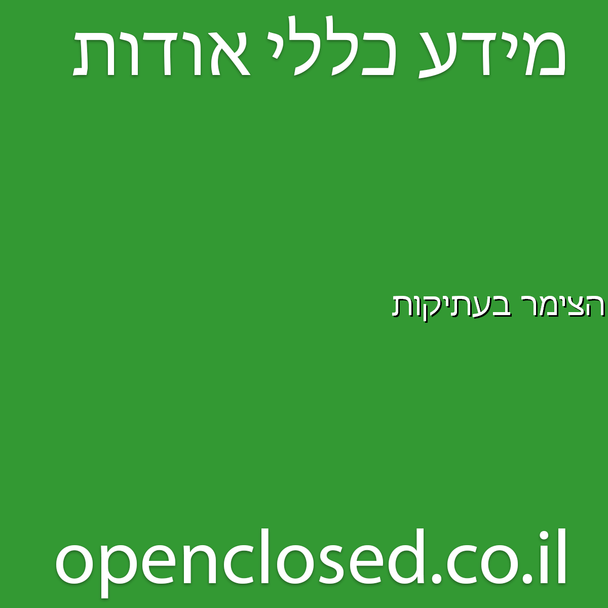 הצימר בעתיקות אשקלון