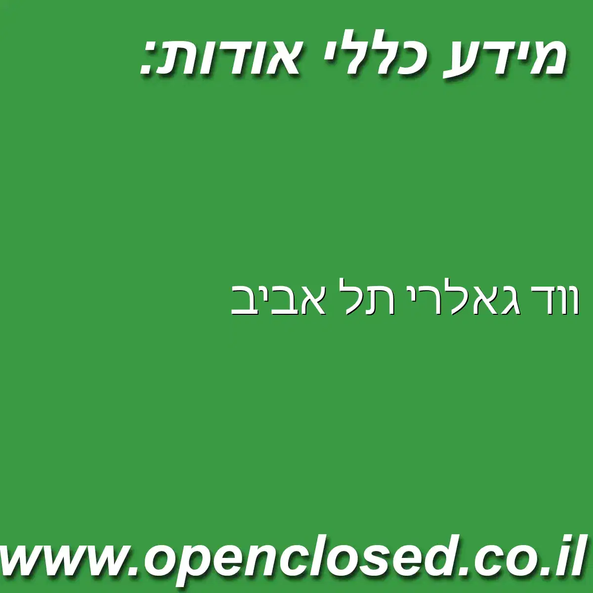 ווד גאלרי תל אביב
