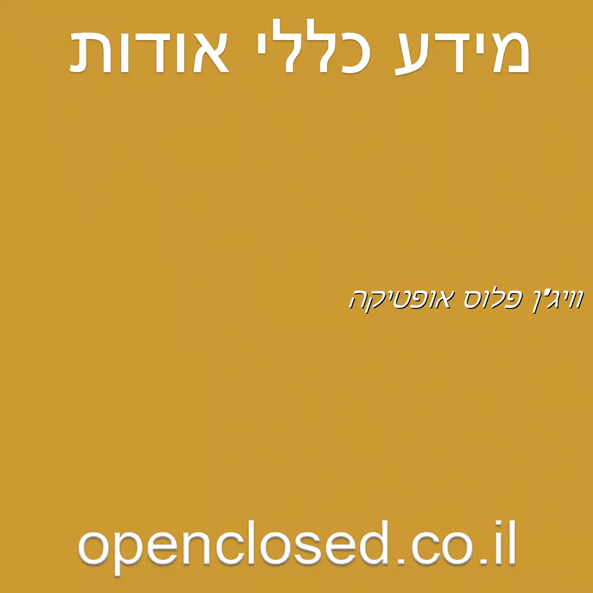 וויג’ן פלוס אופטיקה