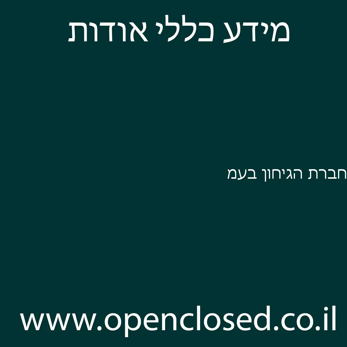 חברת הגיחון בעמ