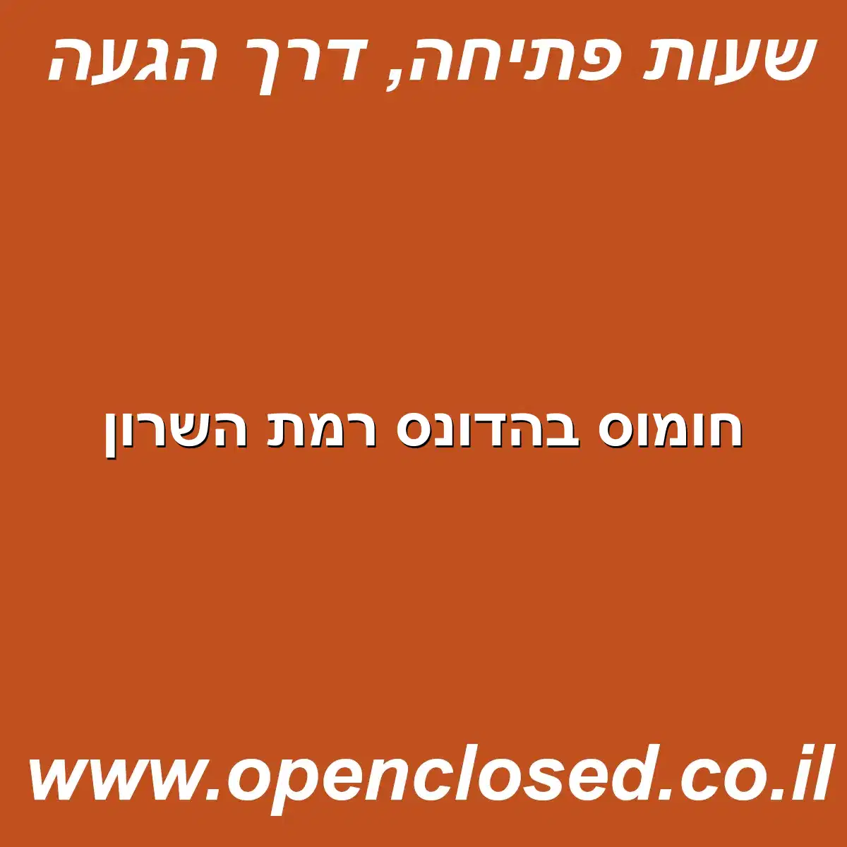 חומוס בהדונס רמת השרון