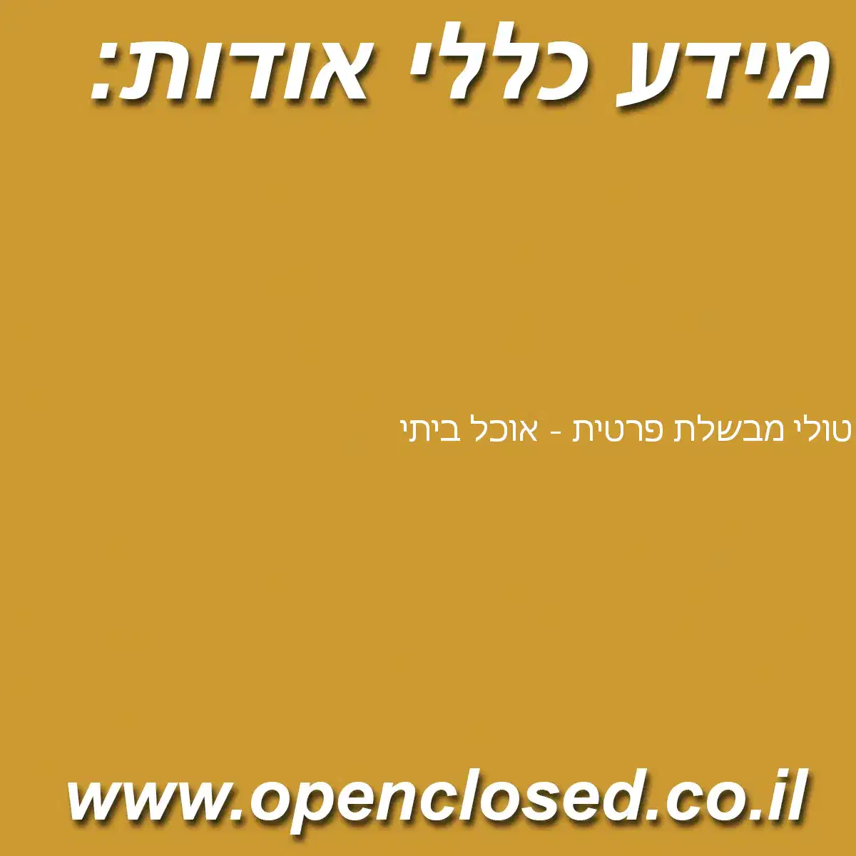 טולי מבשלת פרטית – אוכל ביתי