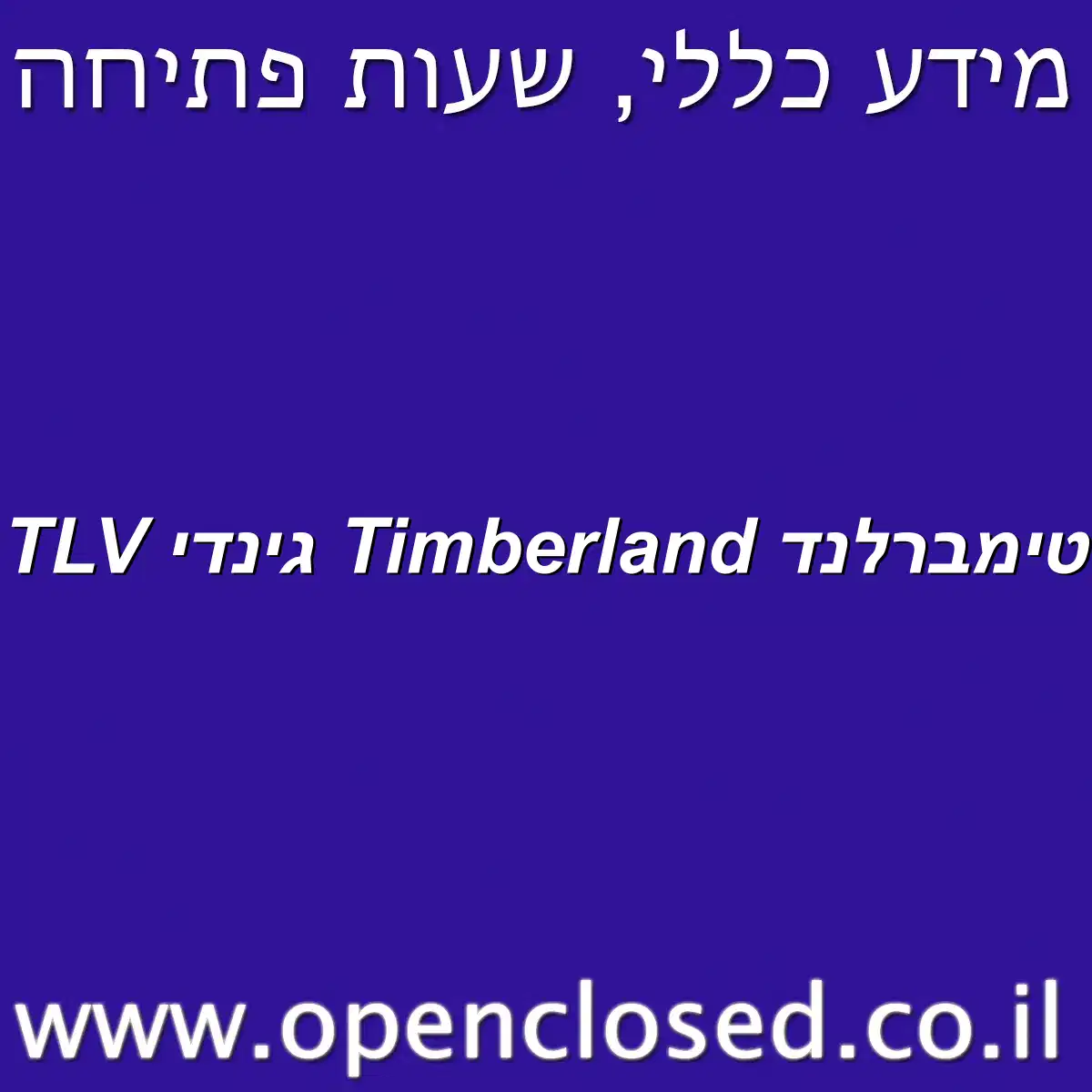 טימברלנד Timberland גינדי TLV