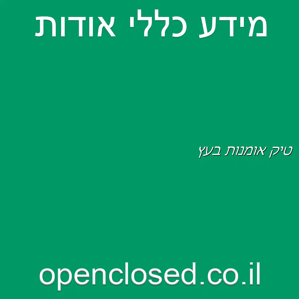 טיק אומנות בעץ