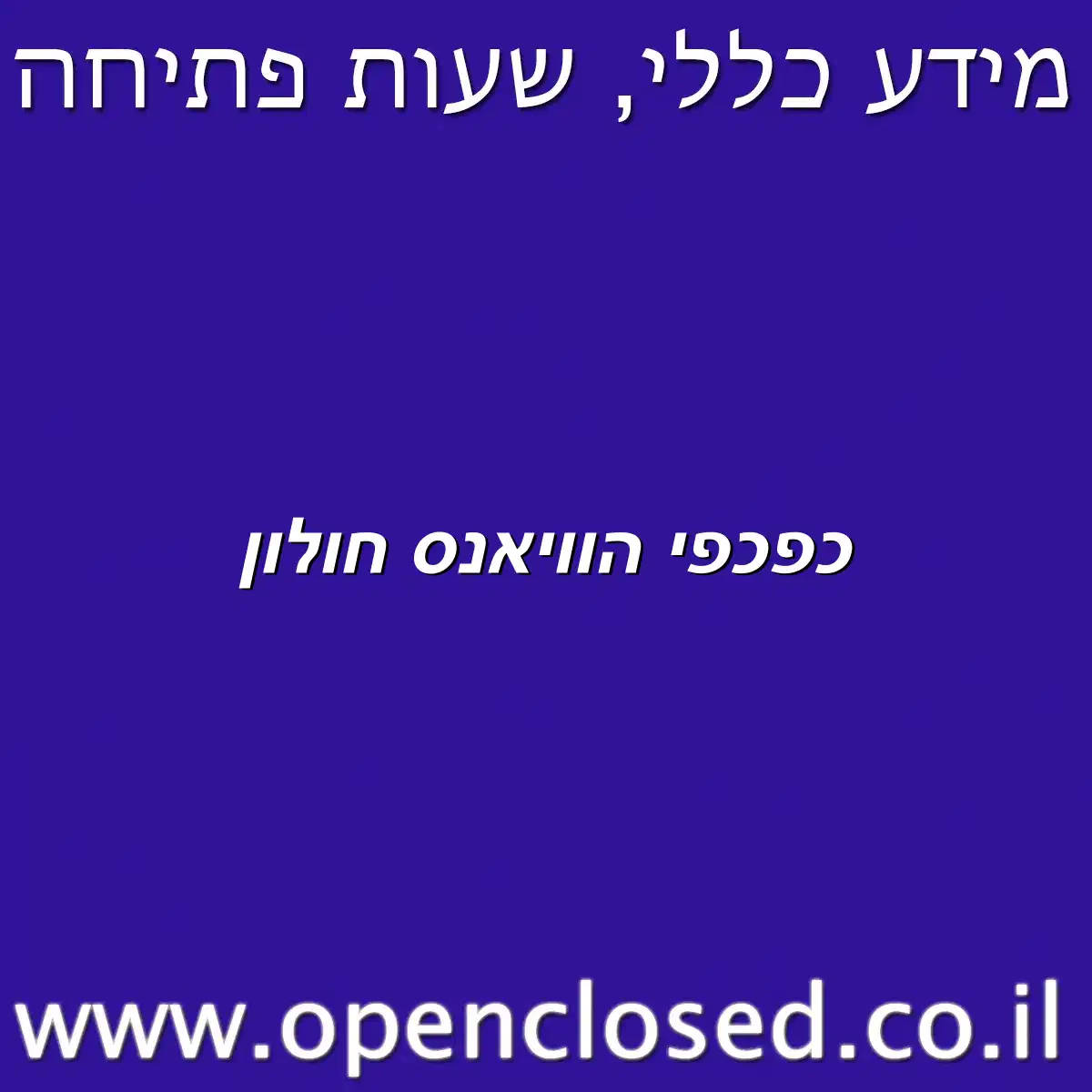 כפכפי הוויאנס חולון