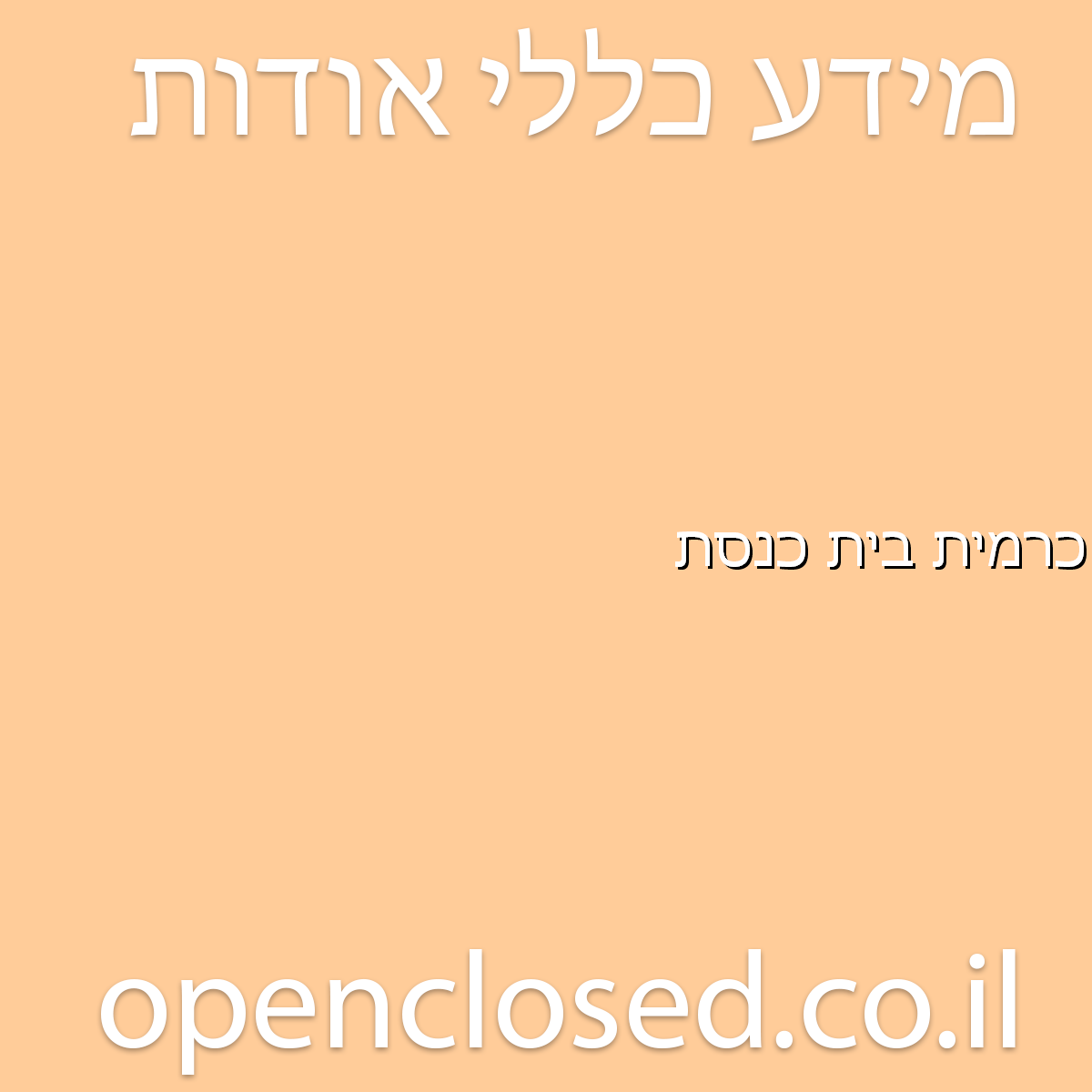 כרמית בית כנסת