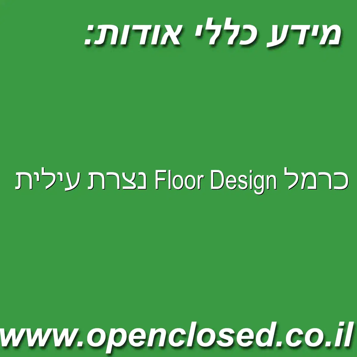 כרמל Floor Design נוף הגליל