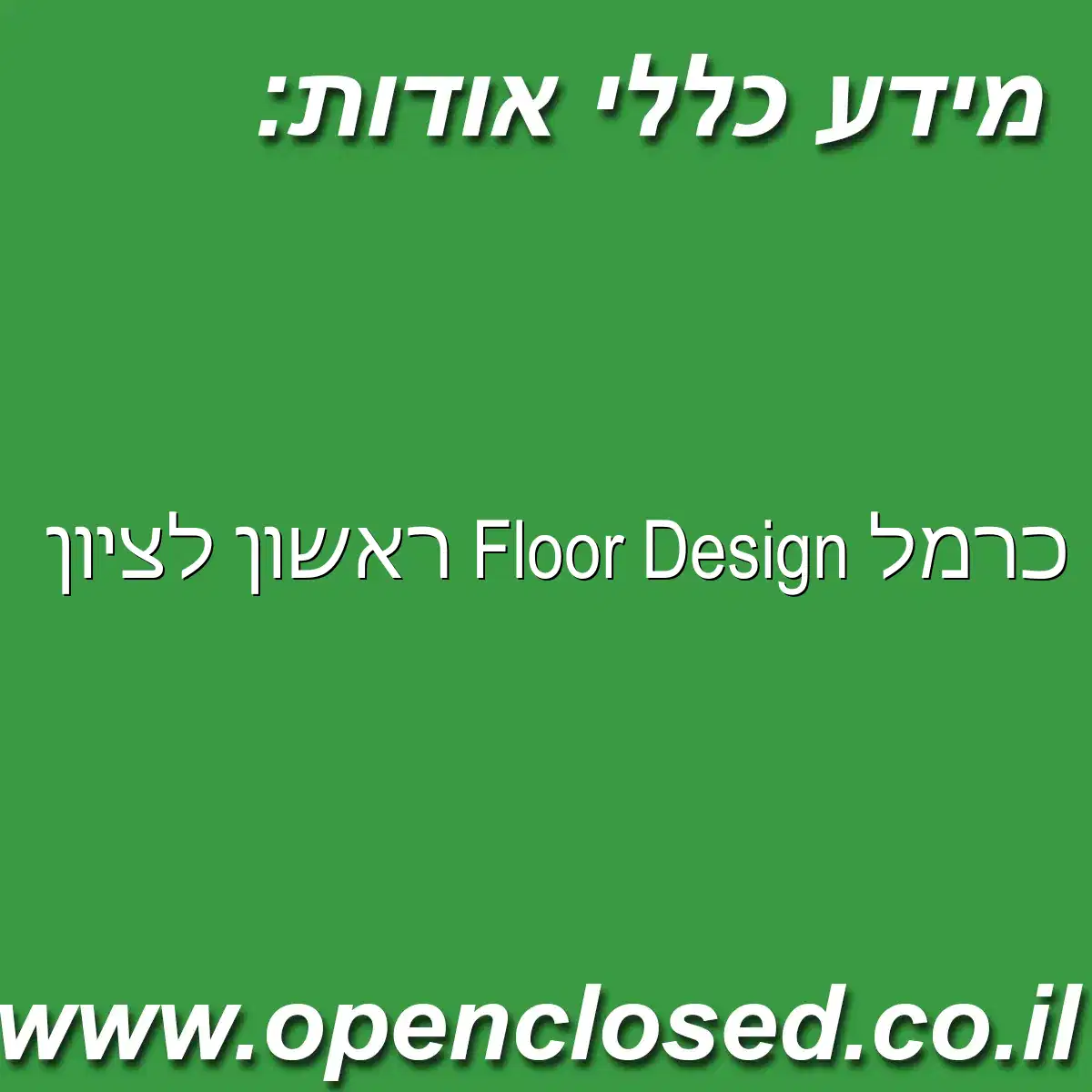 כרמל Floor Design ראשון לציון