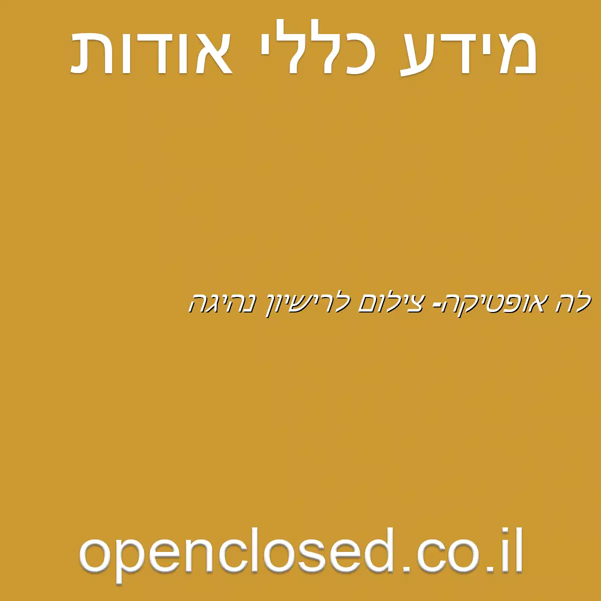 לה אופטיקה- צילום לרישיון נהיגה