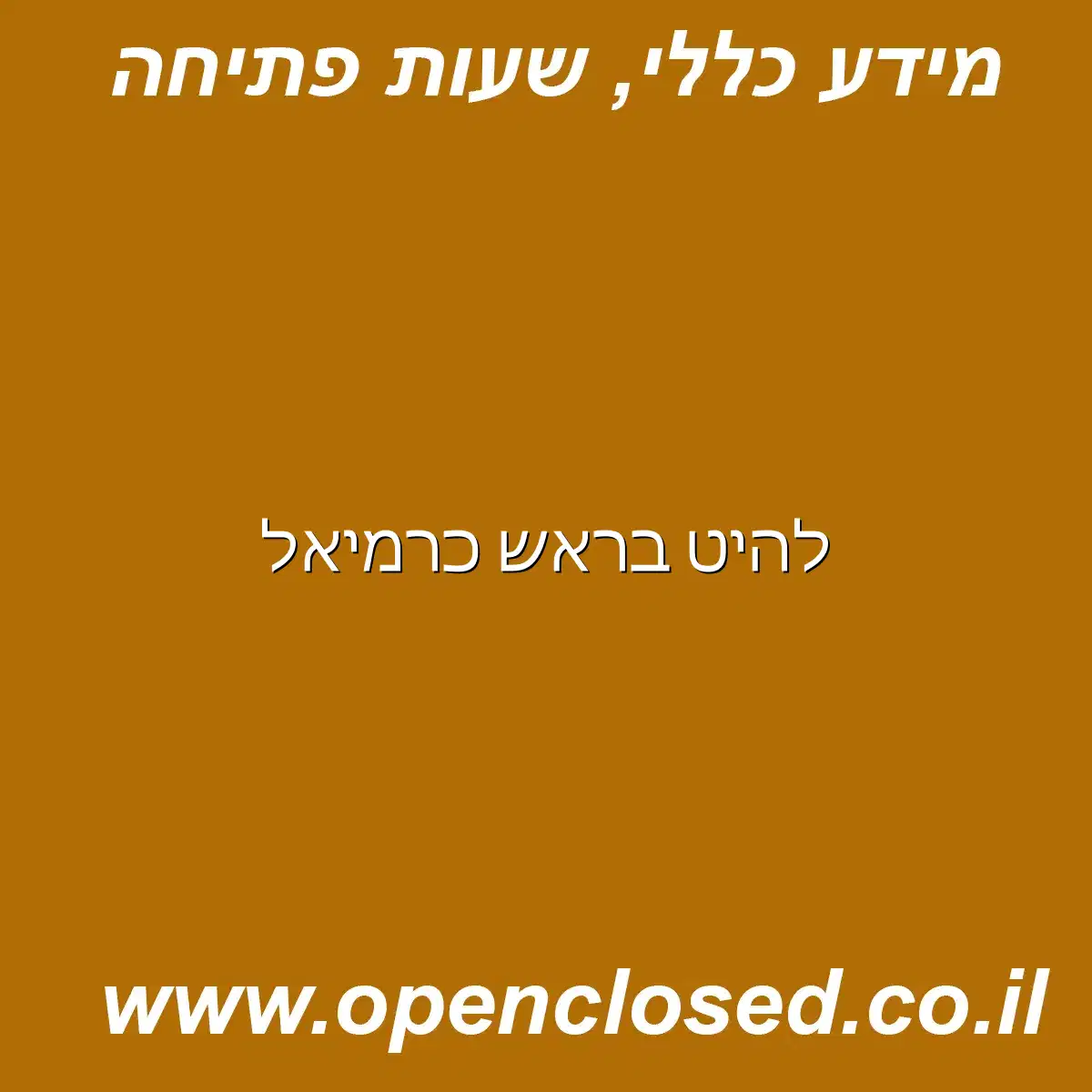 להיט בראש כרמיאל