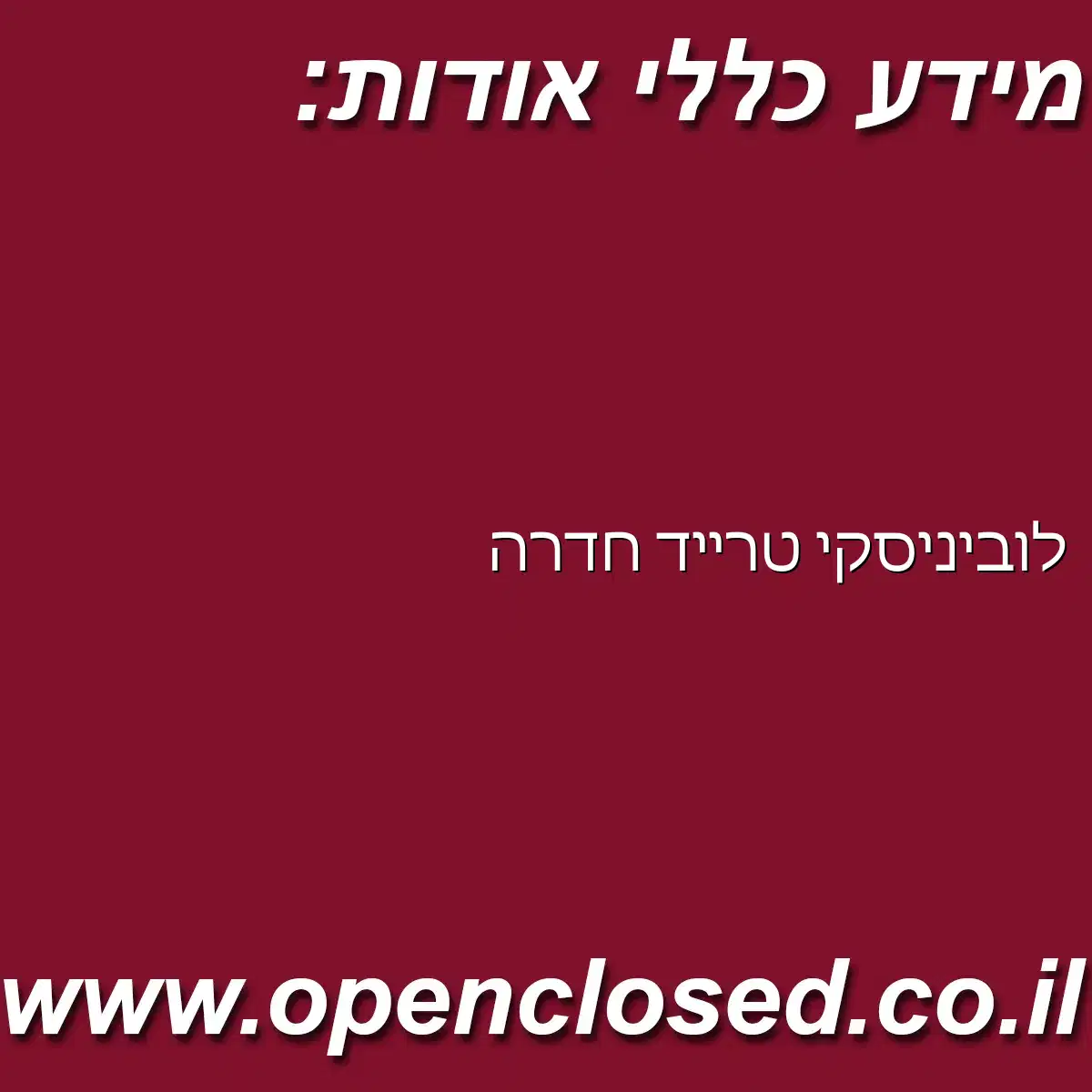 לוביניסקי טרייד חדרה