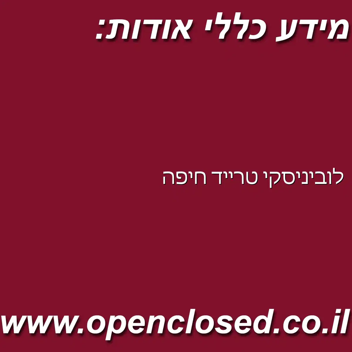 לוביניסקי טרייד חיפה