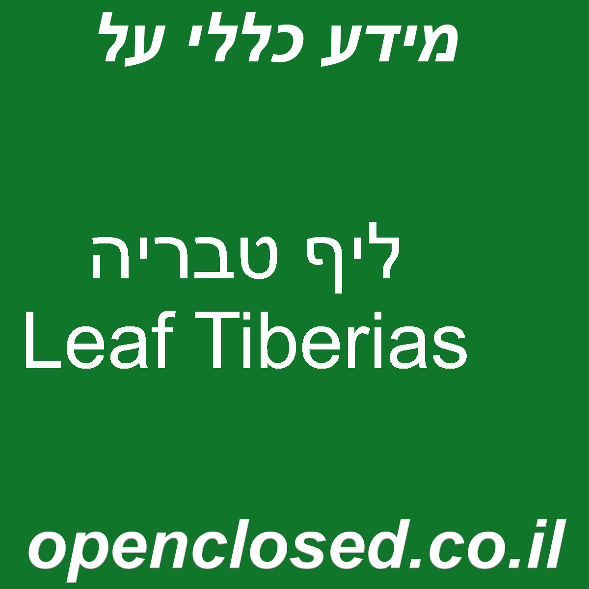 ליף טבריה Leaf Tiberias