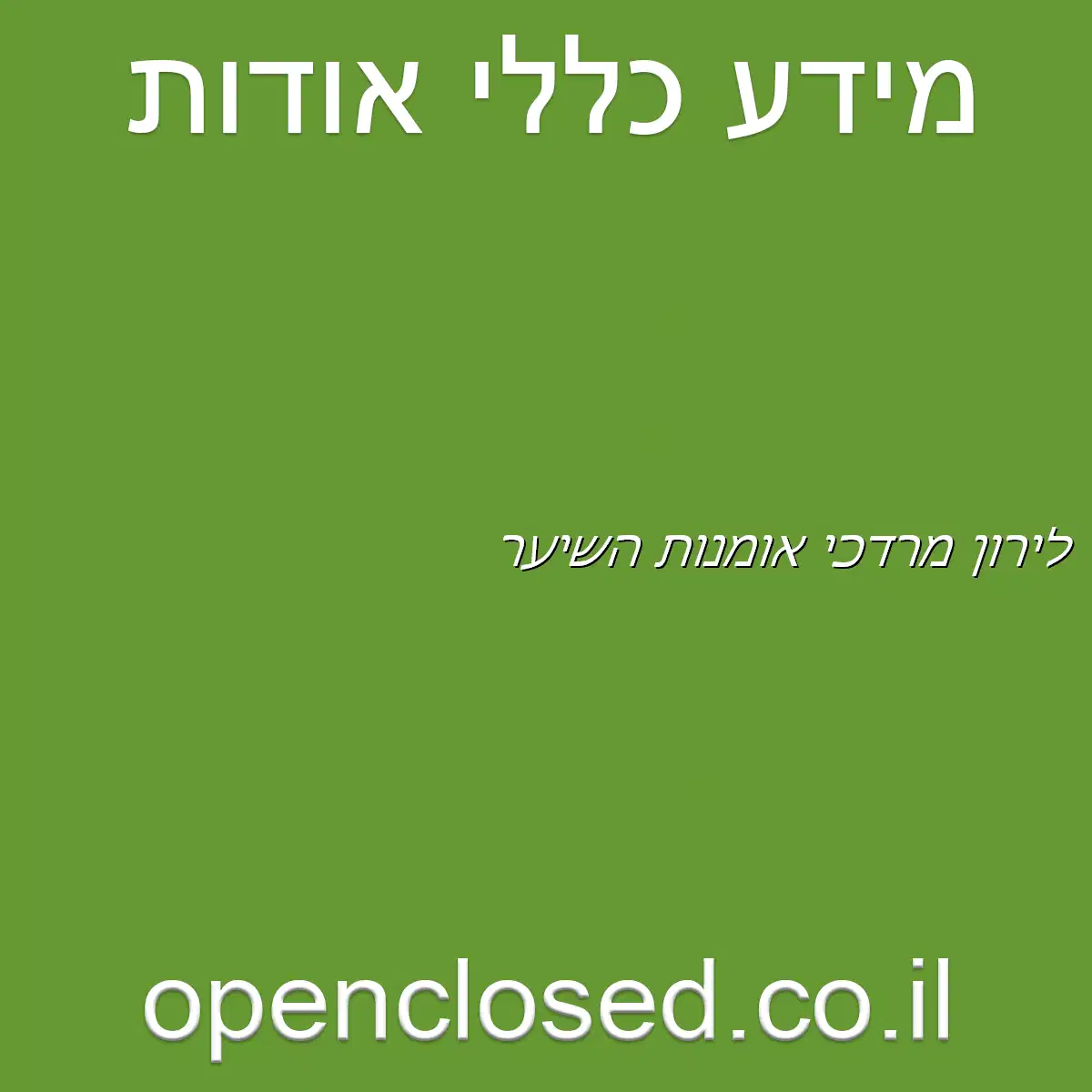 לירון מרדכי אומנות השיער