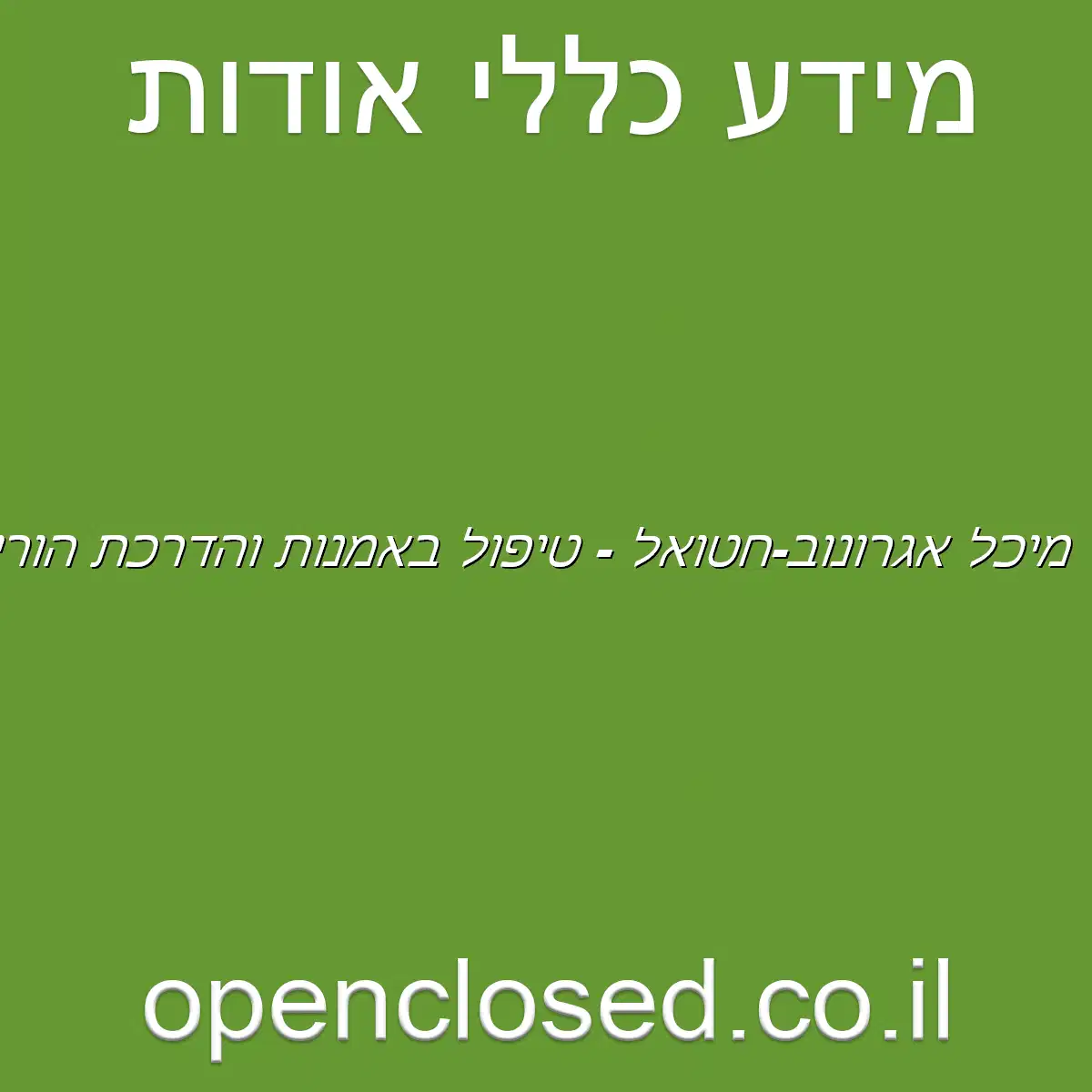 מיכל אגרונוב-חטואל – טיפול באמנות והדרכת הורים