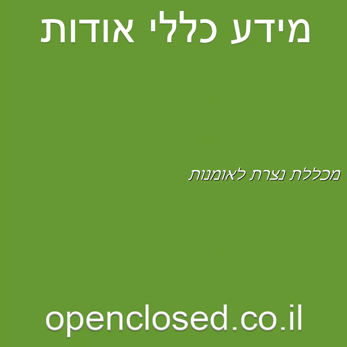 מכללת נצרת לאומנות