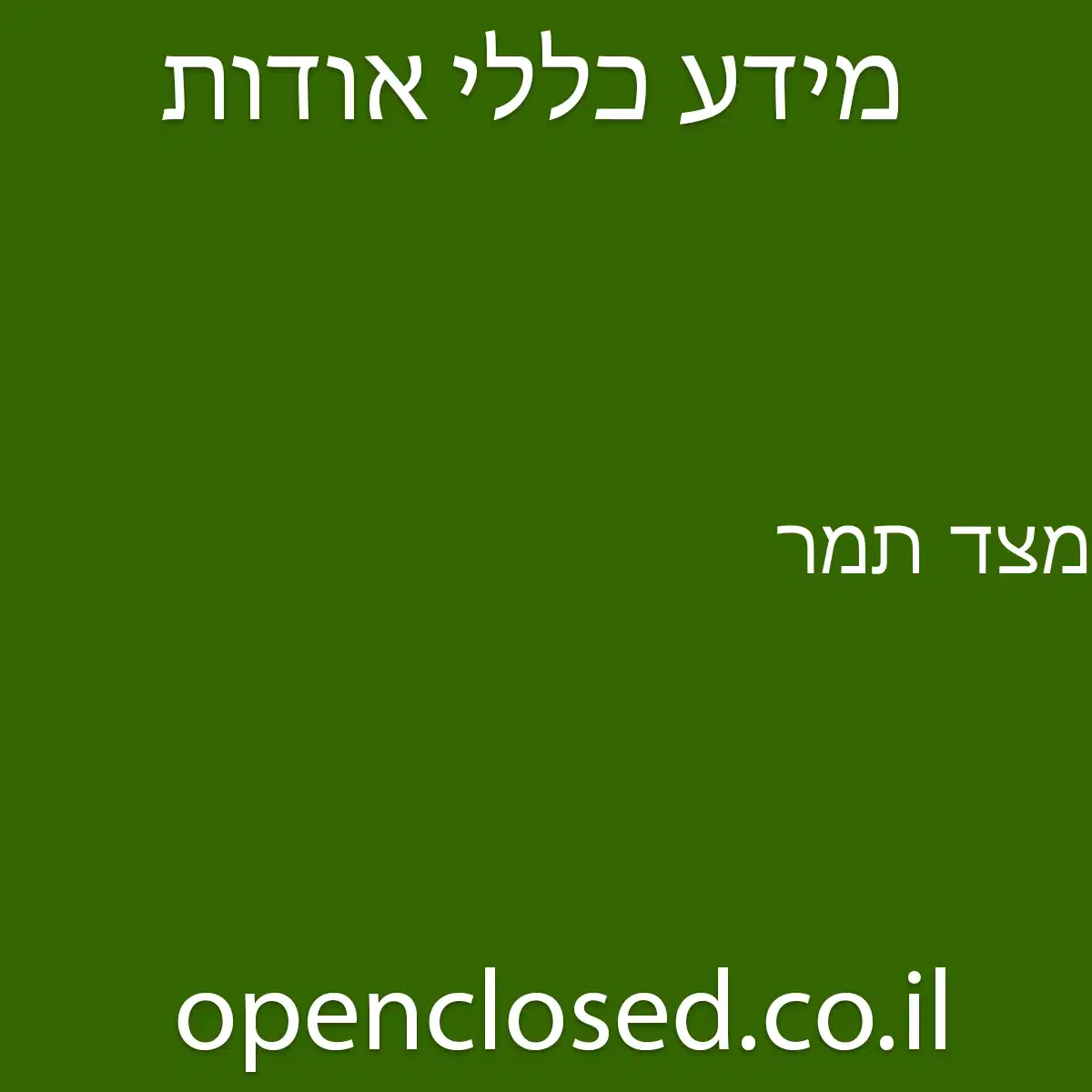 מצד תמר