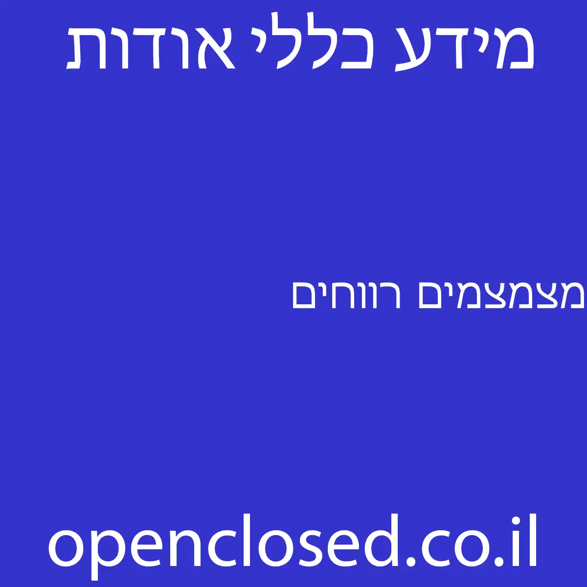 מצמצמים רווחים