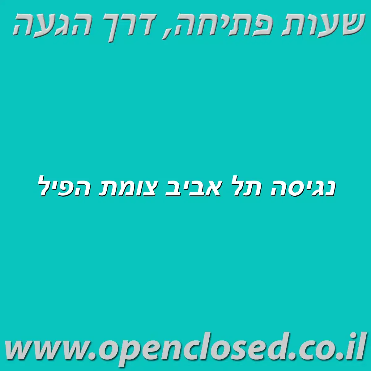 נגיסה תל אביב צומת הפיל