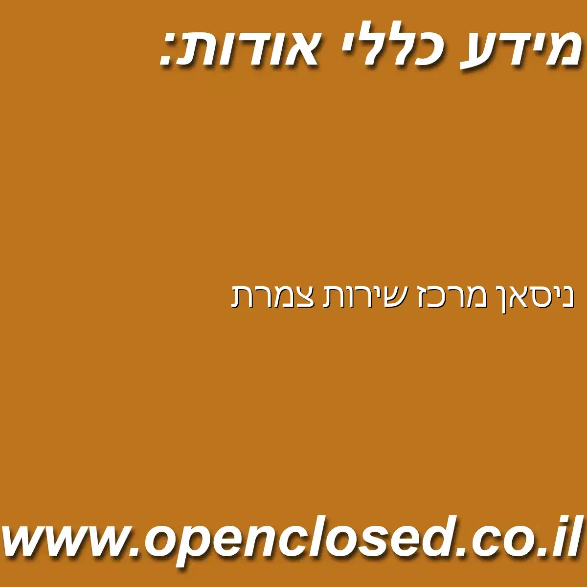 ניסאן מרכז שירות “צמרת”
