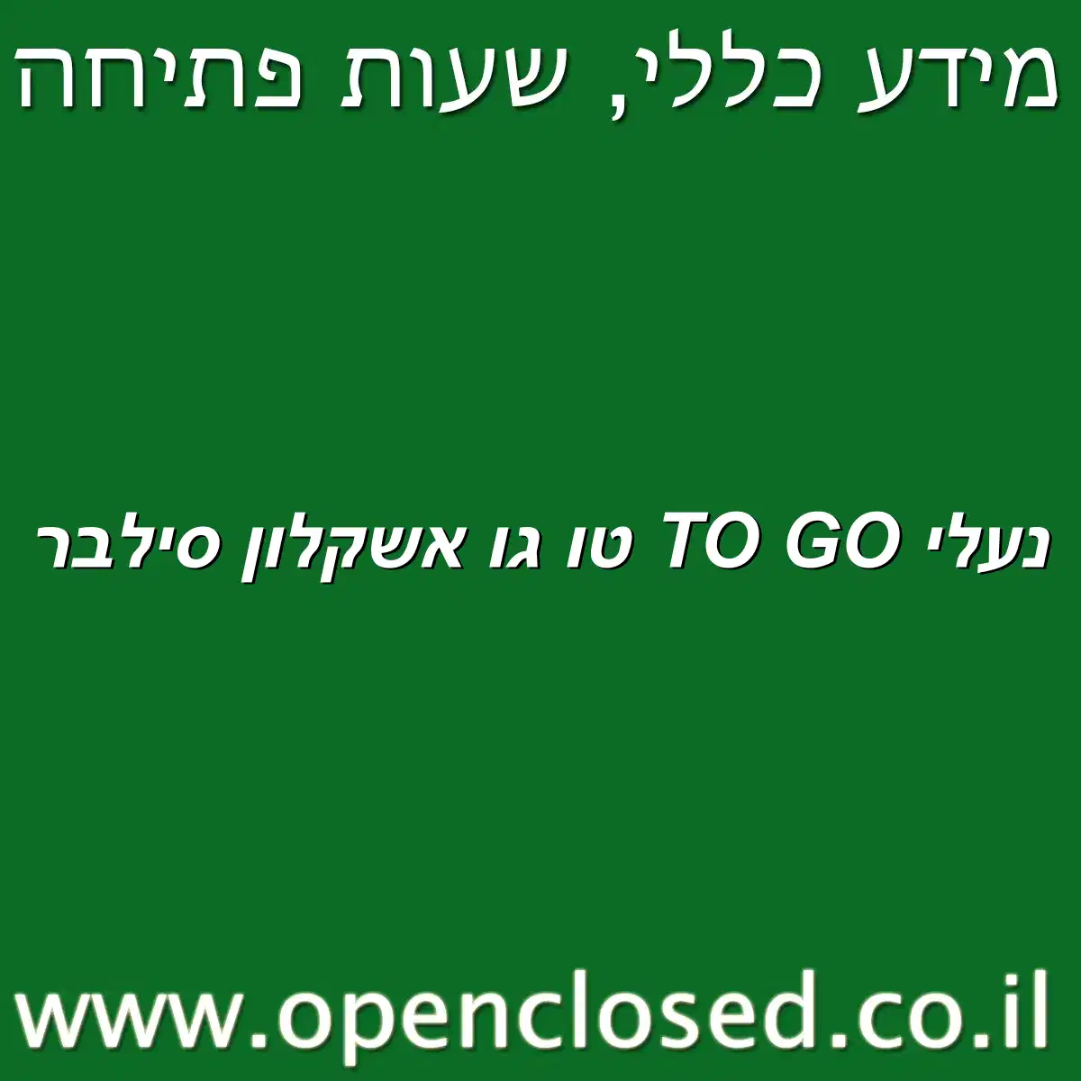 נעלי TO GO טו גו אשקלון סילבר