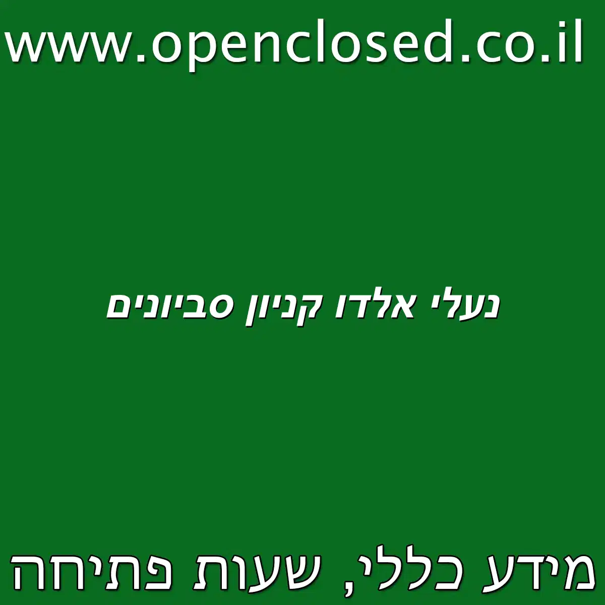נעלי אלדו קניון סביונים