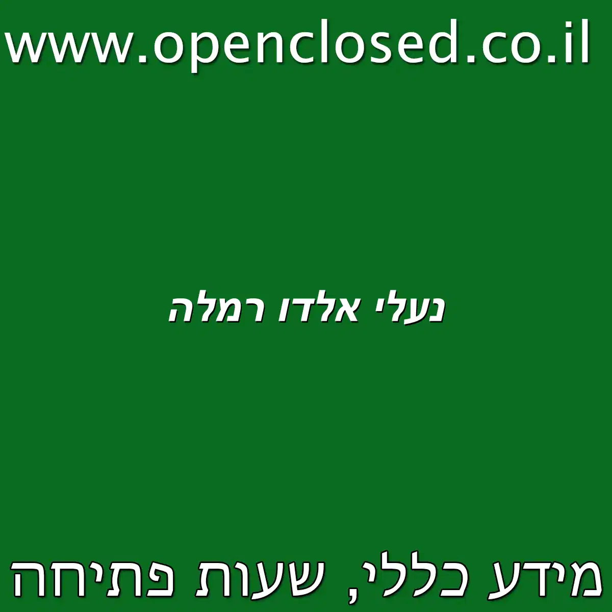נעלי אלדו רמלה