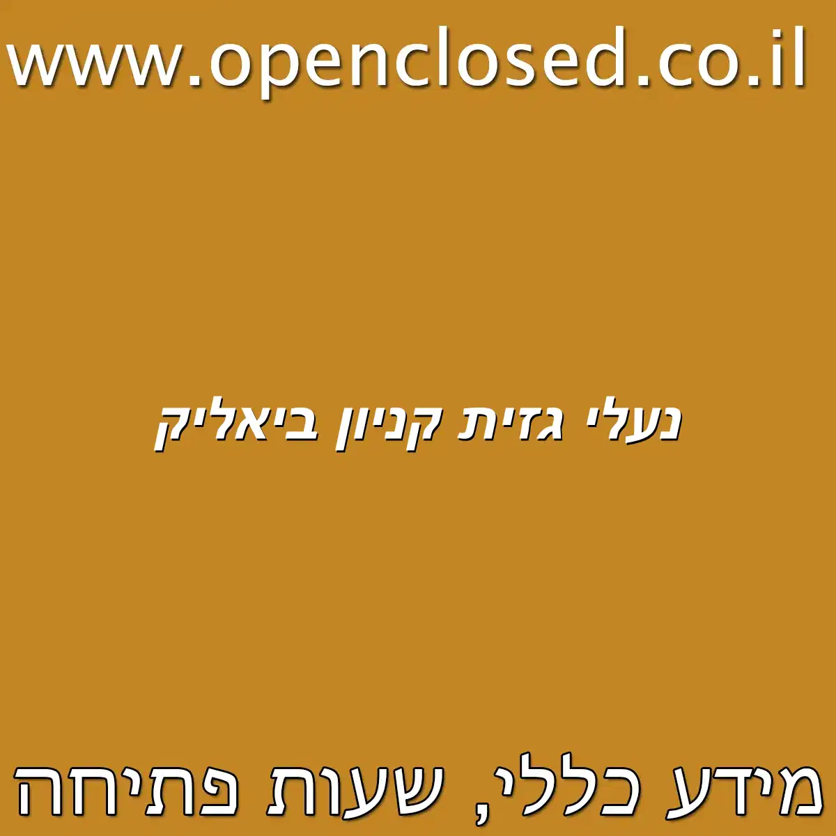 נעלי גזית קניון ביאליק