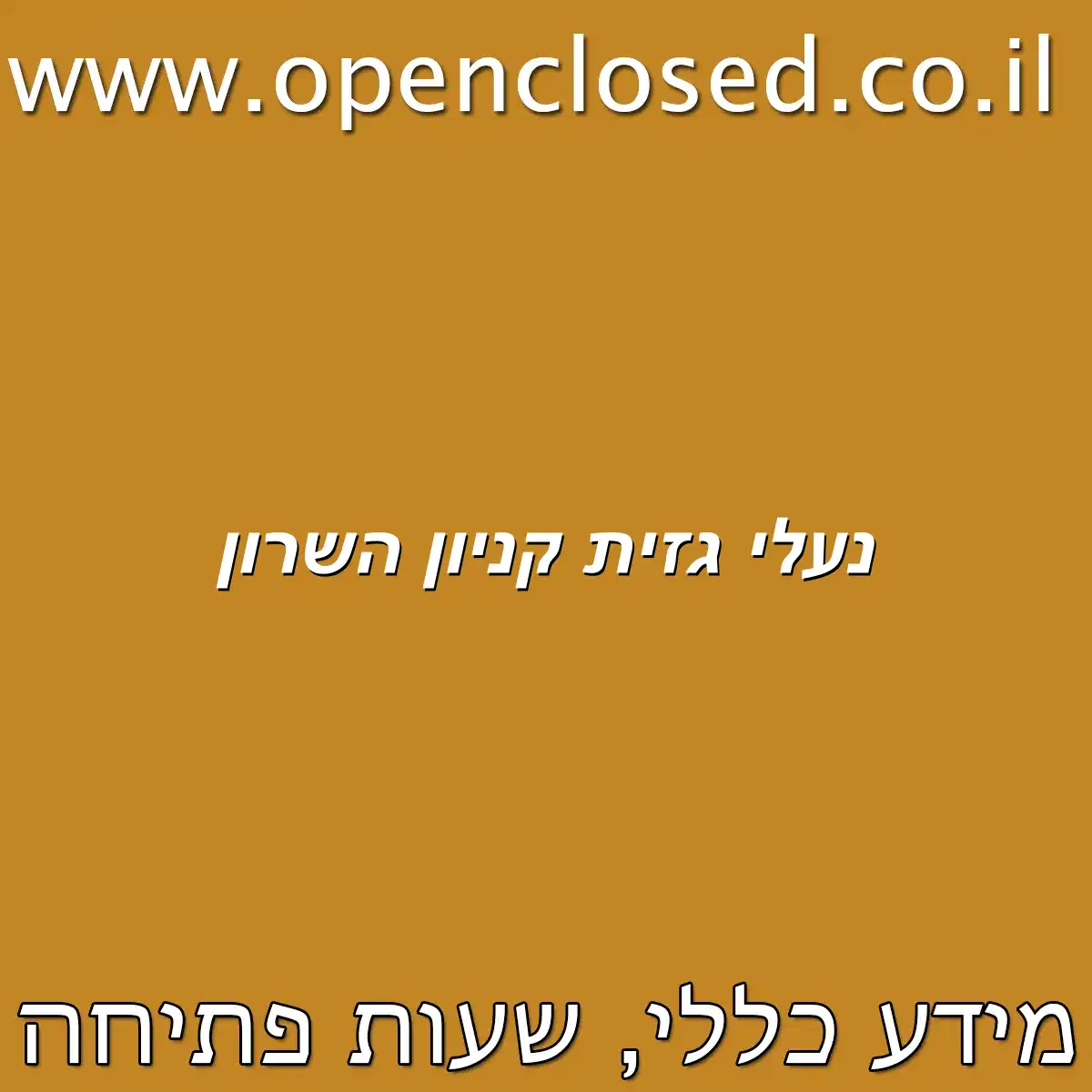 נעלי גזית קניון השרון