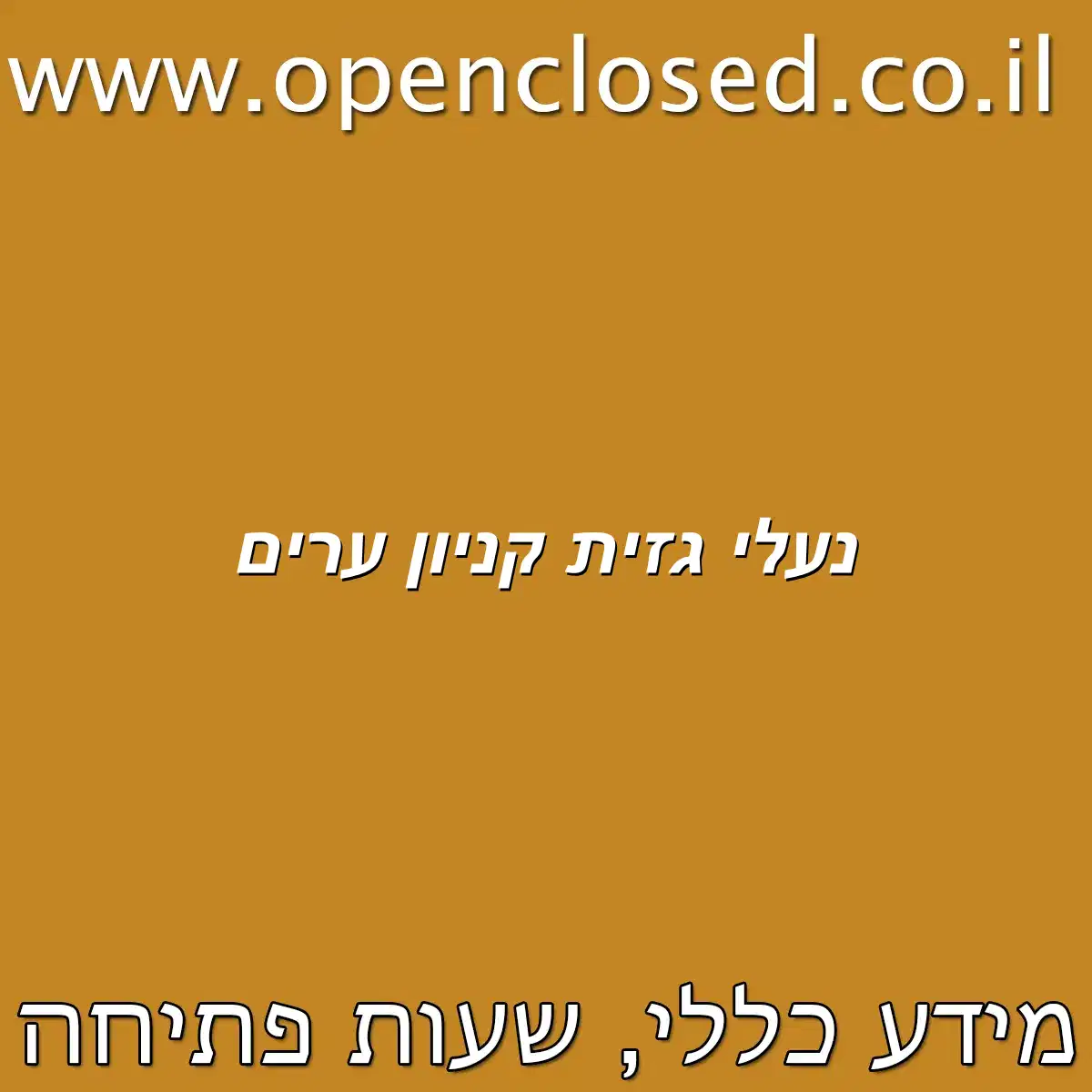 נעלי גזית קניון ערים
