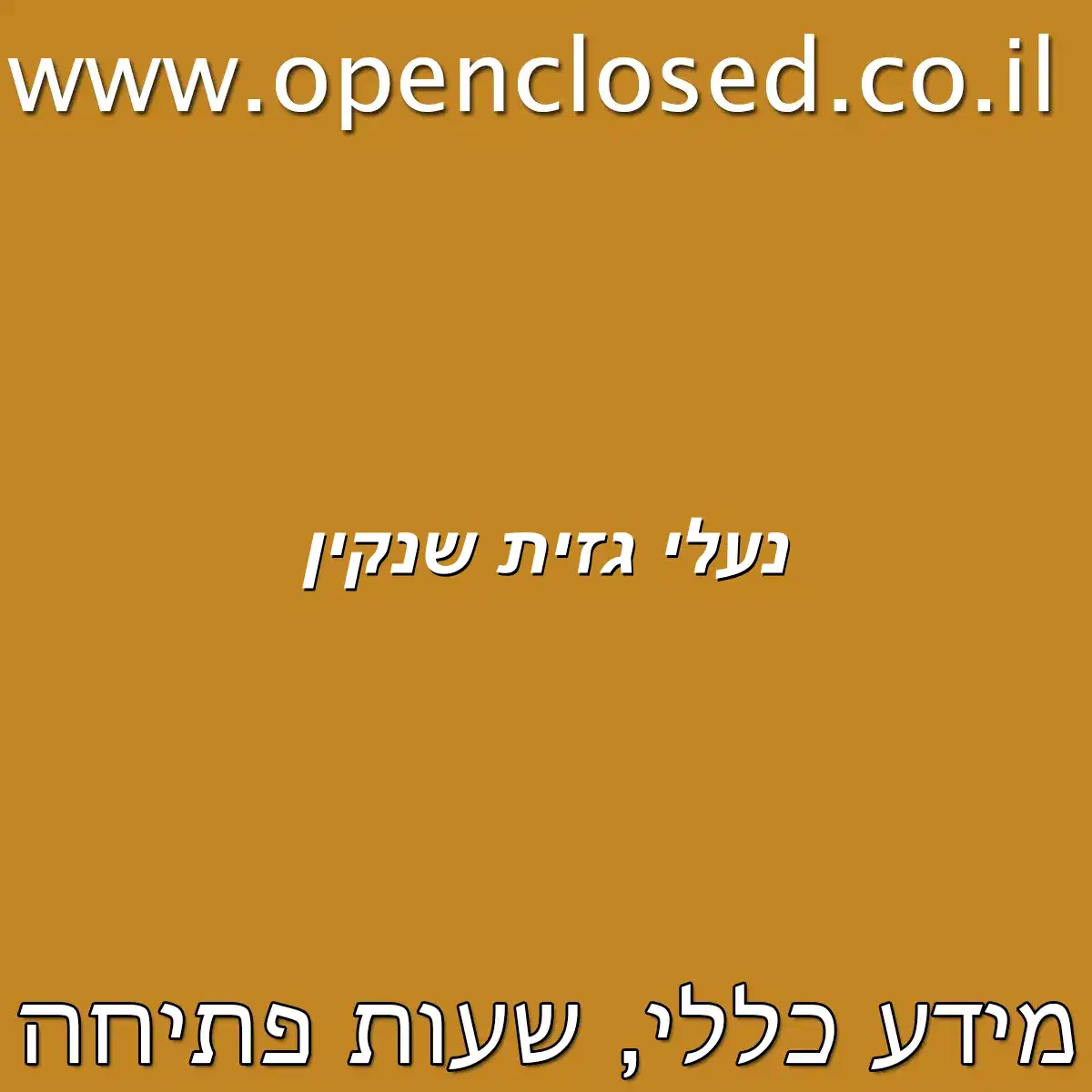 נעלי גזית שנקין