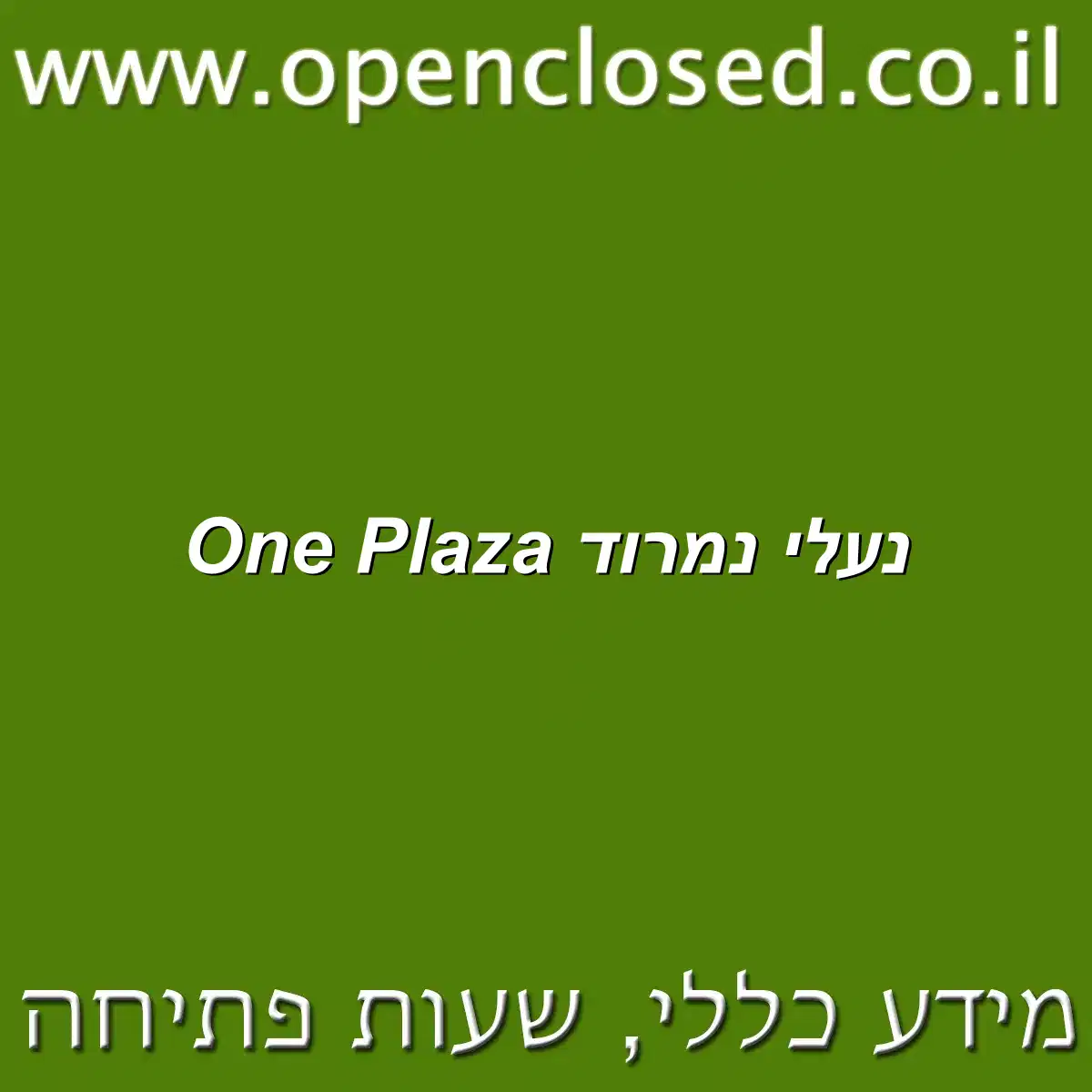 נעלי נמרוד One Plaza