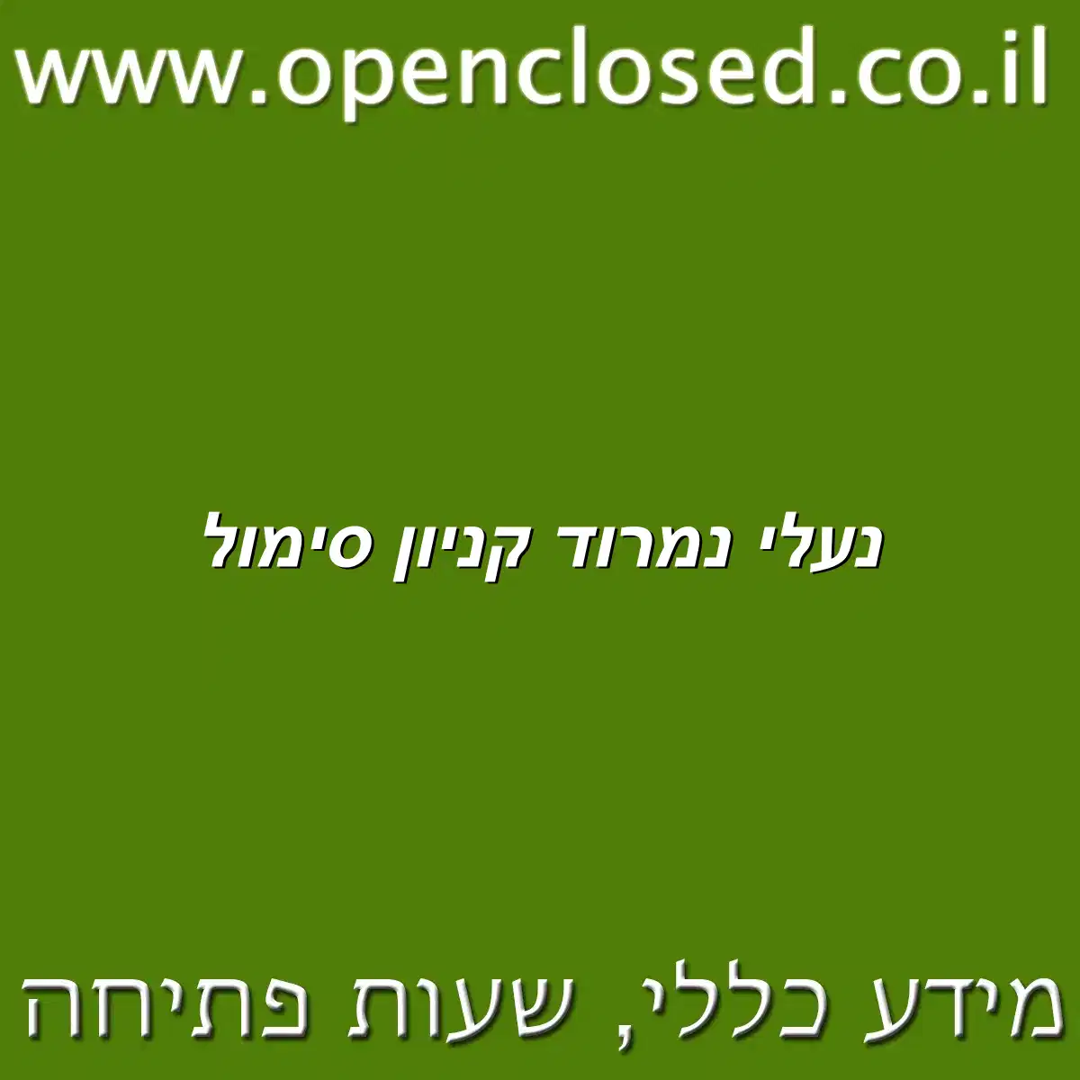 נעלי נמרוד קניון סימול