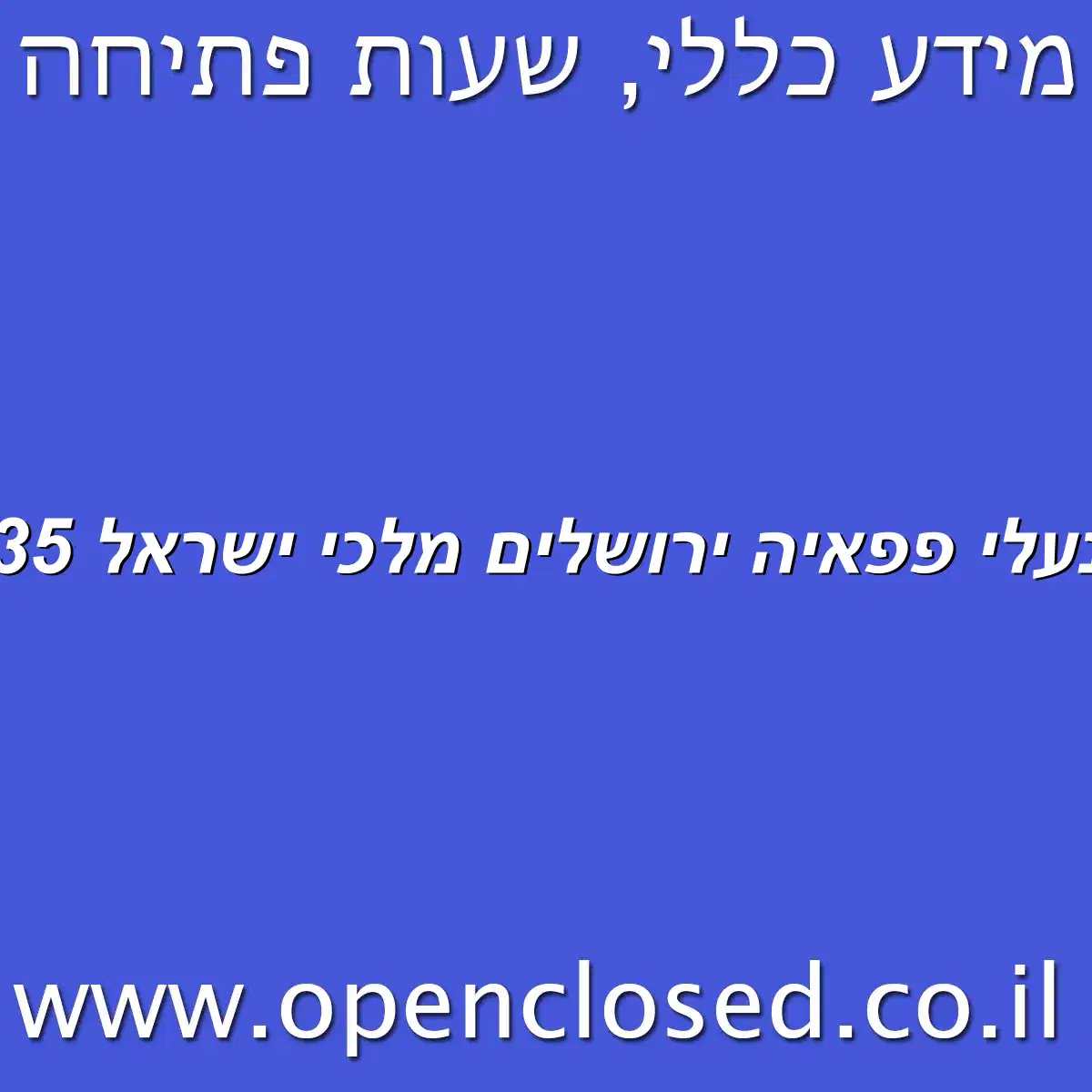 נעלי פפאיה ירושלים מלכי ישראל 35