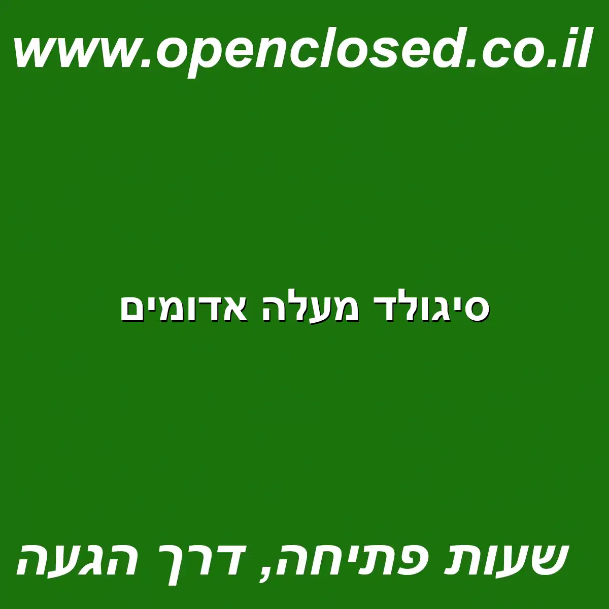 סיגולד מעלה אדומים