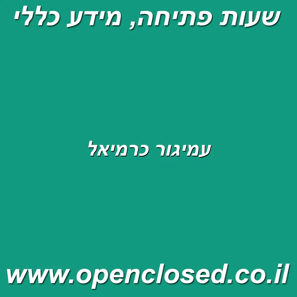 עמיגור כרמיאל